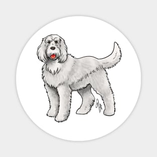 Dog - Spinone Italiano - White Magnet